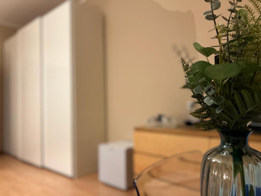 Juliette Rooms Iesi Bagian luar foto